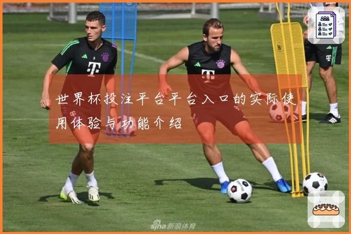 世界杯投注平台平台入口的实际使用体验与功能介绍