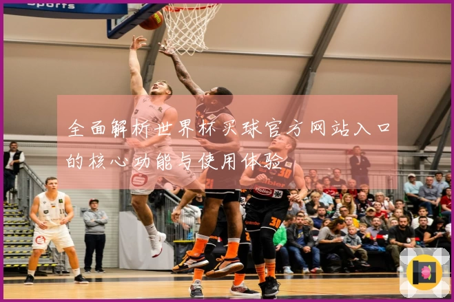 全面解析世界杯买球官方网站入口的核心功能与使用体验
