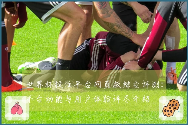 世界杯投注平台网页版综合评测:平台功能与用户体验详尽介绍