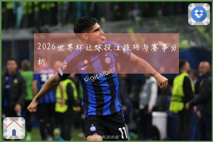 2026世界杯让球投注技巧与赛事分析