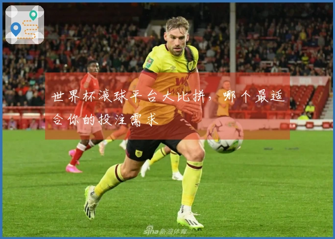 世界杯滚球平台大比拼，哪个最适合你的投注需求