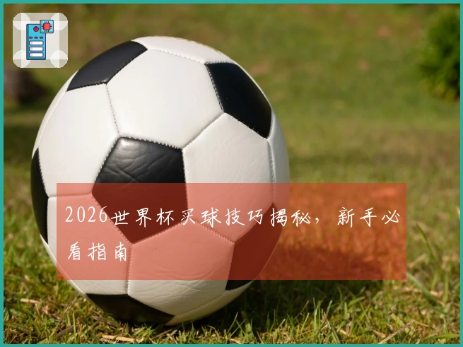 2026世界杯买球技巧揭秘,新手必看指南