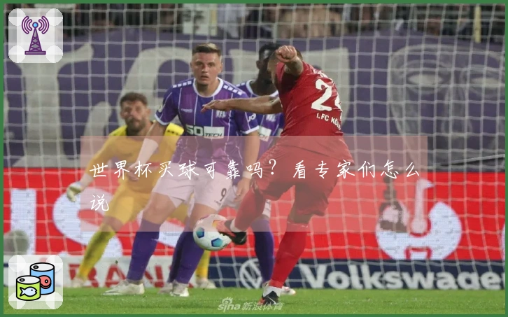 世界杯买球可靠吗？看专家们怎么说
