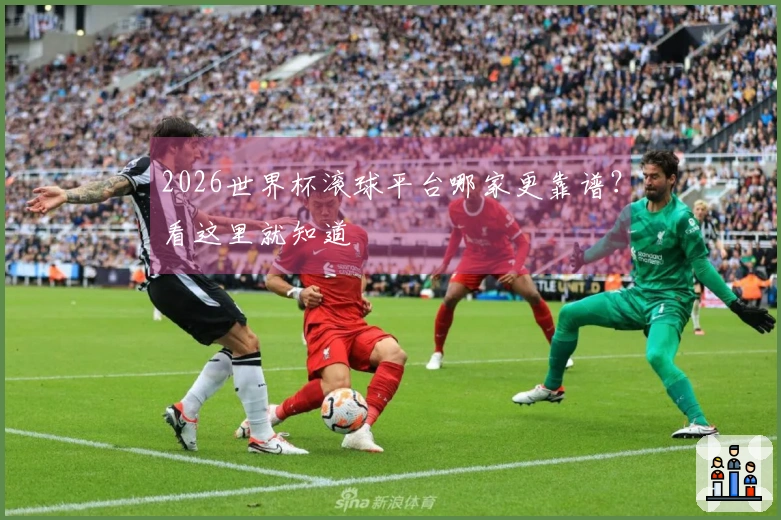2026世界杯滚球平台哪家更靠谱?看这里就知道