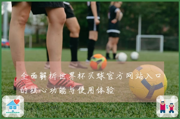 全面解析世界杯买球官方网站入口的核心功能与使用体验