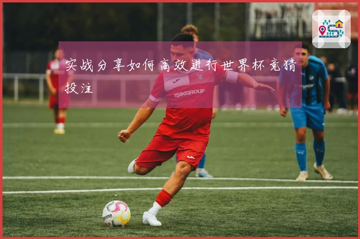 实战分享如何高效进行世界杯竞猜投注