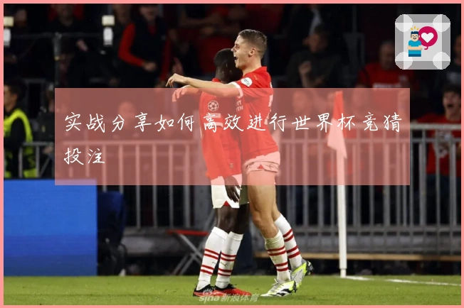 实战分享如何高效进行世界杯竞猜投注