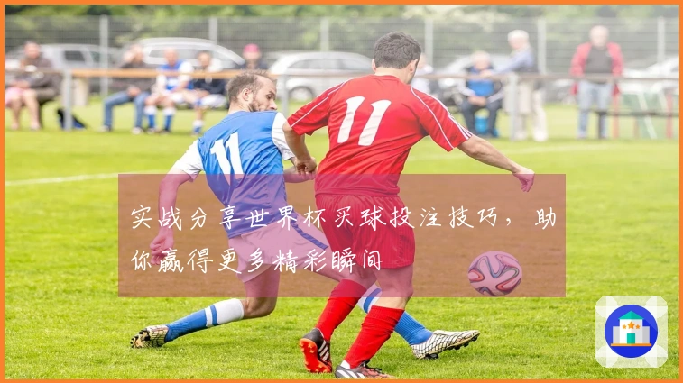 实战分享世界杯买球投注技巧，助你赢得更多精彩瞬间