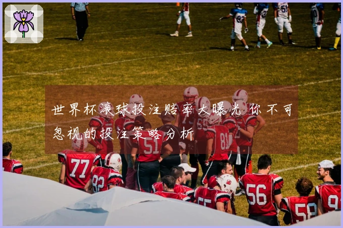 世界杯滚球投注赔率大曝光 你不可忽视的投注策略分析