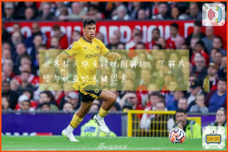 世界杯买球竞猜规则解析：了解风险与收益的关键因素