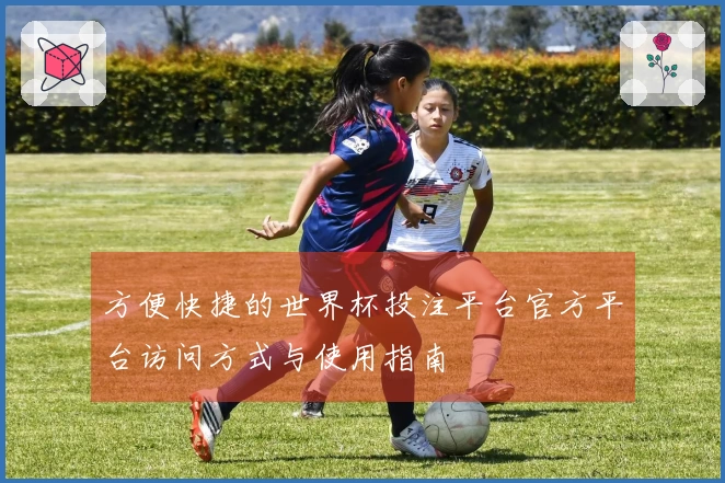 方便快捷的世界杯投注平台官方平台访问方式与使用指南