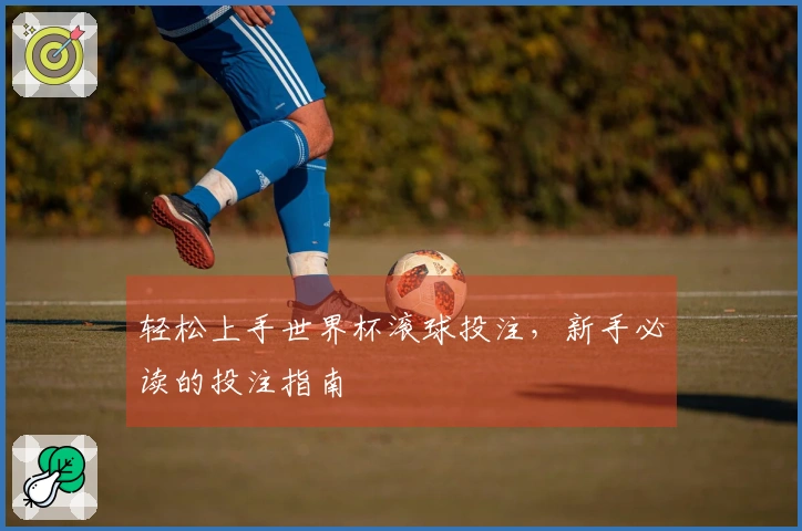 轻松上手世界杯滚球投注，新手必读的投注指南