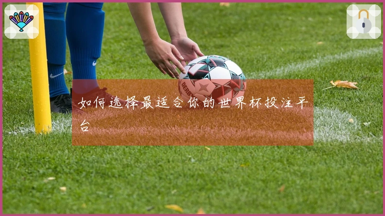 如何选择最适合你的世界杯投注平台