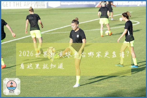 2026世界杯滚球平台哪家更靠谱？看这里就知道