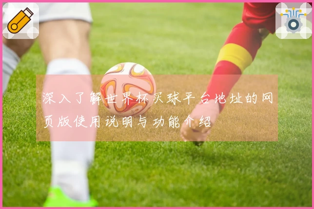 深入了解世界杯买球平台地址的网页版使用说明与功能介绍