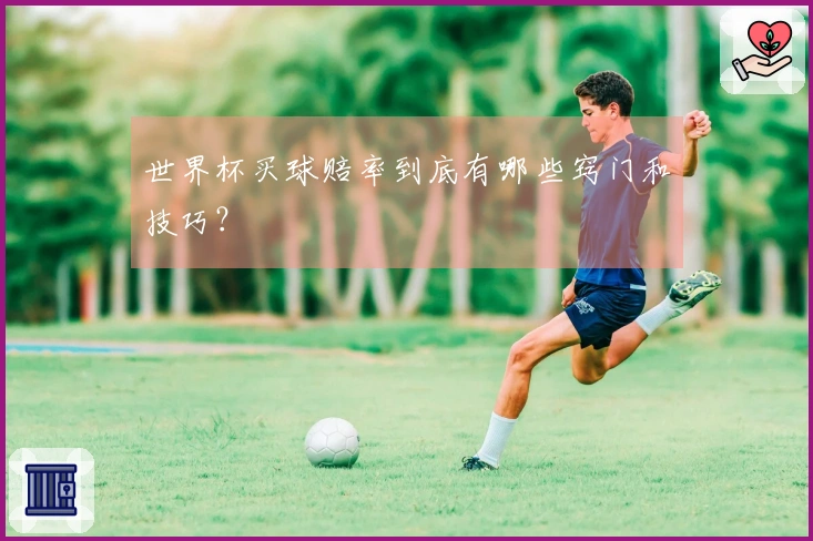 世界杯买球赔率到底有哪些窍门和技巧？
